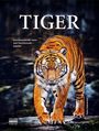 Paula Hammond: Tiger, Buch