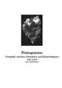 Antje Lindner: Printogramme - Fotografie zwischen Abstraktion und Körperfragment, Buch