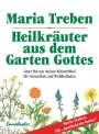 Maria Treben: Heilkräuter aus dem Garten Gottes, Buch