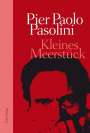 Pier Paolo Pasolini: Kleines Meerstück, Buch