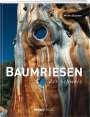 Michel Brunner: Baumriesen der Schweiz, Buch
