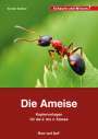 Karolin Küntzel: Die Ameise - Kopiervorlagen für die 2. bis 4. Klasse, Buch