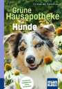 Dorina Lux: Grüne Hausapotheke für Hunde. Kompakt-Ratgeber, Buch