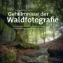 Yvonne Albe: Geheimnisse der Waldfotografie, Buch