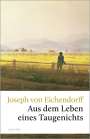 Joseph von Eichendorff: Aus dem Leben eines Taugenichts, Buch