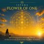 "SAYAMA Flower of One. Meditationsmusik in Solfeggio 639 Hz für Entspannung, Energiearbeit & innere Harmonie. Eine Person meditiert vor einer leuchtenden, goldenen Blume des Lebens."