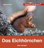 Johanna Prinz: Das Eichhörnchen, Buch