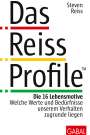 Steven Reiss: Das Reiss Profile, Buch