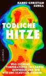 Hanns-Christian Gunga: Tödliche Hitze, Buch