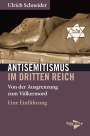 Ulrich Schneider: Antisemitismus im Dritten Reich, Buch