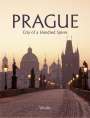 Harald Salfellner: Prague - City of a Hundred Spires, Buch