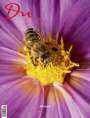 : Du913 - das Kulturmagazin. Bienen, Buch
