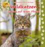 Heiderose Fischer-Nagel: Wildkatzen, Buch