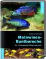 Andreas Spreinat: Malawiseebuntbarsche, Teil 1: Erfolgreiche Pflege und Zucht, Buch