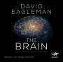 David Eagleman: The Brain, CD
