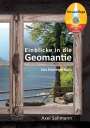 Axel Sallmann: Einblicke in die Geomantie - Das Einsteigerbuch, Buch