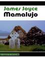 James Joyce: Mamalujo, Buch