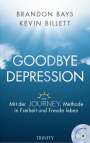 Brandon Bays: Goodbye Depression, Buch