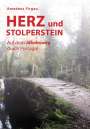 Amadeus Firgau: Herz und Stolperstein, Buch
