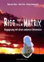Werner Betz: Riss in der Matrix, Buch