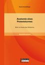 Dennis Greveldinger: Anatomie eines Proteststurmes: Blick ins Innere des Shitstorms, Buch