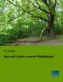 M. Büsgen: Bau und Leben unserer Waldbäume, Buch