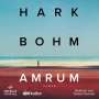 Hark Bohm: Amrum, MP3