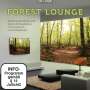: Forest Lounge, CD,DVD