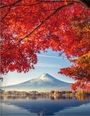 Japan, Buch