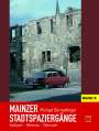 Michael Bermeitinger: Mainzer Stadtspaziergänge VIII, Buch