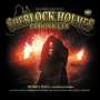 Sir Arthur Conan Doyle: Sherlock Holmes Chronicles (107) Rosies Hall, CD,CD