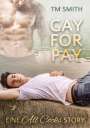 TM Smith: Gay for Pay, Buch