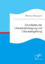 Markus Bergauer: Grundsätze der Urlaubsübertragung und Urlaubsabgeltung, Buch
