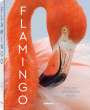 Claudio Contreras Koob: Flamingo, Buch