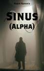 André Rammin: Sinus (Alpha), Buch