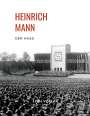 Heinrich Mann: Heinrich Mann: Der Haß, Buch