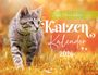 : Mein Literarischer Katzenkalender 2026, KAL