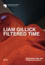 Barbara Helwing: Liam Gillick. Filtered Time, Buch
