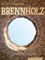 Dieter Biernath: Brennholz, Buch