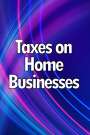 Rafael Michelis: Taxes on Home Businesses, Buch