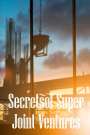David Breython: Secrets of Super Joint Ventures, Buch