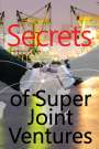 Rachel Milcom: Secrets of Super Joint Ventures, Buch