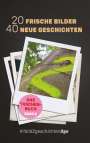 Ella Stein: 20 Frische Bilder 40 Neue Geschichten, Buch