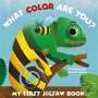 : My First Jigsaw Book: What Color Are You?, Buch