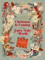 : Christmas Is Coming in the Fairy Tale World, Buch