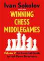 Ivan Sokolov: Winning Chess Middlegames Volume 2, Buch