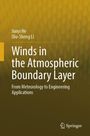 Titel: "Winds in the Atmospheric Boundary Layer". Autoren: Junyi He, Qiu-Sheng Li. Hintergrund: Gelbliches Muster.