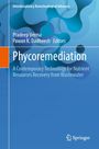 Text: "Phycormediation: A Contemporary Technology for Nutrient Resources Recovery from Wastewater." Blaue abstrakte Formen.