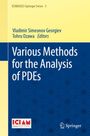 Oben steht "ICIAM2023 Springer Series 5". Darunter "Various Methods for the Analysis of PDEs". Unten rechts das Springer-Logo.