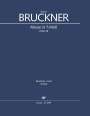 Anton Bruckner: Messe in f-Moll (Klavierauszug), Buch